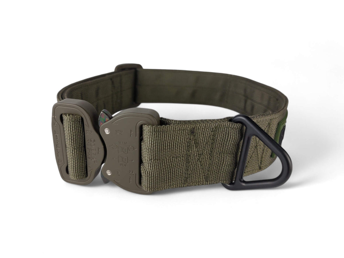 Halsband "Flex" 40mm Oliv, Ansicht 1 von 2