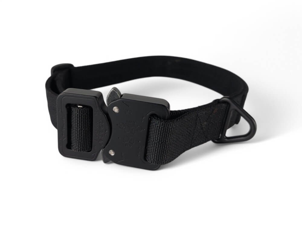 Halsband "Flex" 25mm Schwarz, Ansicht 1 von 2
