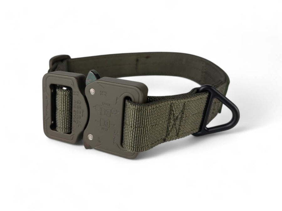 Halsband "Flex" 25mm Oliv
